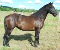 VF ARES TROUBLE - M213908